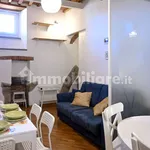 Rent 3 bedroom apartment of 75 m² in Pisa