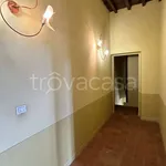 Rent 4 bedroom apartment of 175 m² in Moncalieri