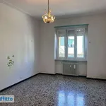 Rent 3 bedroom apartment of 75 m² in Turin