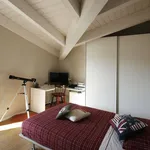 Rent 2 bedroom apartment of 57 m² in Treviso