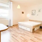 Rent 1 bedroom apartment of 35 m² in Capital City of Prague