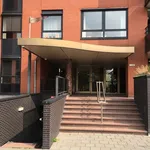 Rent 3 bedroom apartment of 115 m² in Populierenbuurt