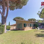 Rent 5 bedroom house of 150 m² in Orbetello