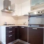 Rent 3 bedroom apartment of 75 m² in Pisa