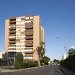 Rent 4 bedroom apartment in Seville