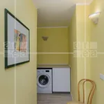 Rent 1 bedroom apartment of 60 m² in Roma