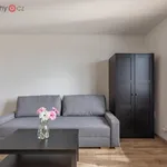 Rent 2 bedroom apartment of 33 m² in Meziboří