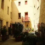 Rent 2 bedroom apartment of 53 m² in NARBONNET