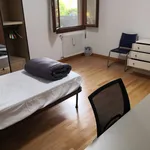 Rent 3 bedroom apartment in Padua