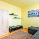 Rent 1 bedroom apartment of 41 m² in Budapest