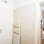 Miete 1 Schlafzimmer wohnung in Vienna