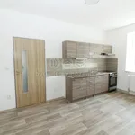 Pronájem bytu 1+1 35m²