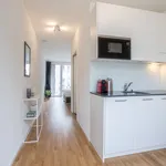 Rent 1 bedroom apartment of 28 m² in Kriens