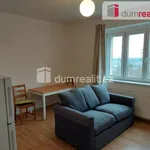 Rent 2 bedroom apartment of 36 m² in Praha