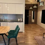 Rent 1 bedroom apartment of 48 m² in Krakow