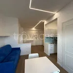 Rent 1 bedroom apartment of 32 m² in Silvi