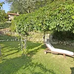 Rent 10 bedroom apartment of 240 m² in Cortona