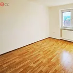 Rent 4 bedroom apartment in Kuřim