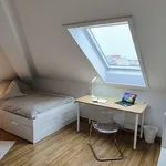 Miete 1 Schlafzimmer wohnung von 33 m² in Halle (Saale)