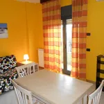 Rent 1 bedroom apartment of 36 m² in Roma