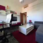 Rent 3 bedroom apartment of 76 m² in Bologna