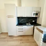 Pronajměte si 2 ložnic/e byt o rozloze 34 m² v Pilsen