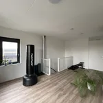 Rent 6 bedroom house of 148 m² in Wesselerbrink Noord-West