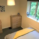 Rent 1 bedroom house in Southampton