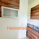 Rent 1 bedroom apartment of 21 m² in Trhový Štěpánov