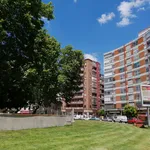 Alquilo 3 dormitorio apartamento de 73 m² en Valladolid