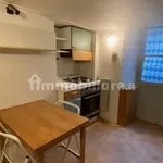 Rent 3 bedroom apartment of 80 m² in Turin