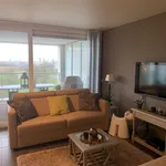 Rent 1 bedroom apartment in Oostende