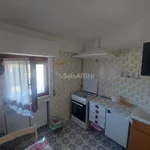 Rent 2 bedroom apartment of 50 m² in Ladispoli