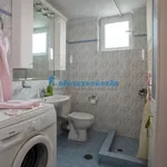 Rent 1 bedroom house of 70 m² in Municipal Unit of Lerna