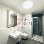 Rent 2 bedroom apartment in Praha 5