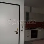 Rent 2 bedroom apartment of 45 m² in Torino