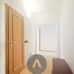 Rent 2 bedroom apartment of 58 m² in Brno