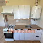 Pronajměte si 2 ložnic/e byt o rozloze 27 m² v Havířov