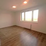 Rent 1 bedroom apartment of 32 m² in Pardubice