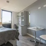 Rent a room in Wales