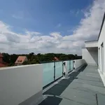 Rent 4 bedroom apartment of 148 m² in Leipzig