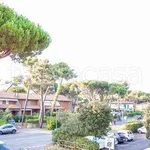 Rent 2 bedroom apartment of 49 m² in Grosseto