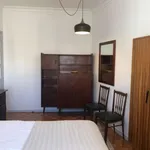 Rent a room of 80 m² in lisbon