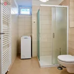 Rent 1 bedroom apartment of 36 m² in Hluboká nad Vltavou