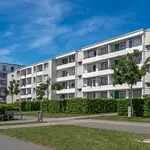 Miete 3 Schlafzimmer wohnung von 75 m² in Monheim am Rhein