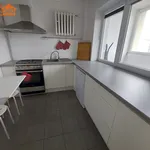 Rent 2 bedroom apartment of 43 m² in Łódź