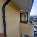 Rent 3 bedroom apartment of 100 m² in Cropani