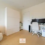 Rent 1 bedroom apartment in Gent