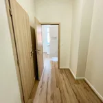 Pronajměte si 2 ložnic/e byt o rozloze 45 m² v Pilsen