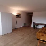  appartement avec 1 chambre(s) en location à Nîmes